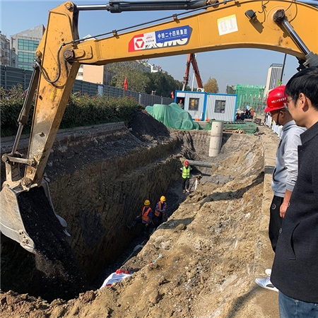 包公大道（二十埠河-龙兴大道）道路及管廊工程 